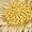 Raffia, variant on Time and Tru Women's Faux Raffia Daisy Slide Sandals