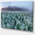 thumbnail image 2 of Champ de Chanvre Frozen en Automne Matin, 2 of 3