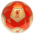 thumbnail image 3 of Liverpool FC Signature 26 Panel Football, 3 of 3