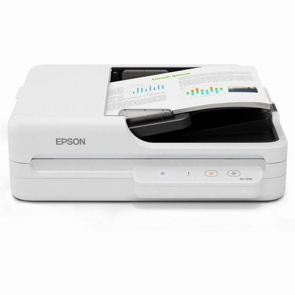 Epson B11B273201 Large Format Flatbed/ADF Scanner, 600 x 1200 dpi Optical