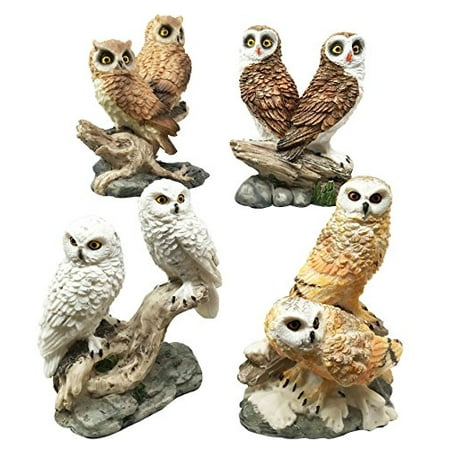 Colorful Owl Kitchen Decor Colorful Owl Species Barn Great Horned Snowy & Screech Owls Perching On Branch Figurine Set Of 4 ()