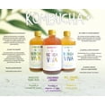 thumbnail image 2 of Bebida Viva Kombucha + / Bebida probiótica 36-pack (500 ml c/u Bebida Viva Caja con 36 piezas de 500 ml c/u, 2 of 5