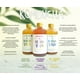 thumbnail image 2 of Bebida Viva Kombucha + / Bebida probiótica 36-pack (500 ml c/u Bebida Viva Caja con 36 piezas de 500 ml c/u, 2 of 5