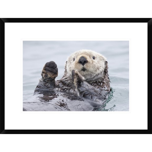 Global Gallery Roman Golubenko 'Yesterday I Caught A Fish Thiiis Big! Otter. Alaska' Framed Wall Art