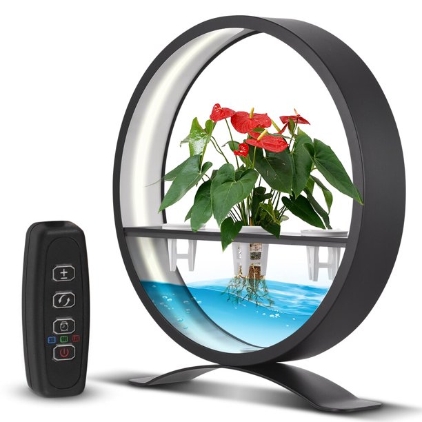 Característica del agua interior con controlador de luz LED luces de anillo de mesa