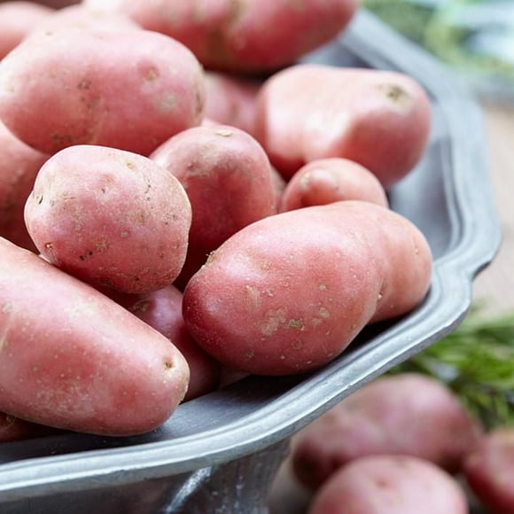 Potato Red Pontiac (2 KG), Great for salads