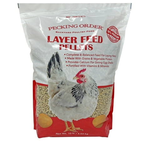 Pecking Order Layer Feed