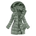 thumbnail image 1 of Veste d'Hiver à Manches Longues pour Femmes avec Fermeture Éclair Composite Manteau d'Extérieur Solide pour Automne et Temps Froid, 1 of 9
