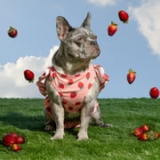 Oodles Summer Strawberries Dog Bikini, Pink, Small