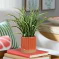 thumbnail image 2 of Mainstays by Becky G. & Alejandra 9.5" Artificial Grass in Orange Two-Tone Ribbed Ceramic Pot, 2 of 8