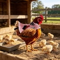 thumbnail image 4 of Tuvgenk Porch Goose Outfits 23" Summer Goose Clothes for Porch Goose Chicken Saddle / Hen Apron Cloth Yard Decor for Garden, 4 of 6