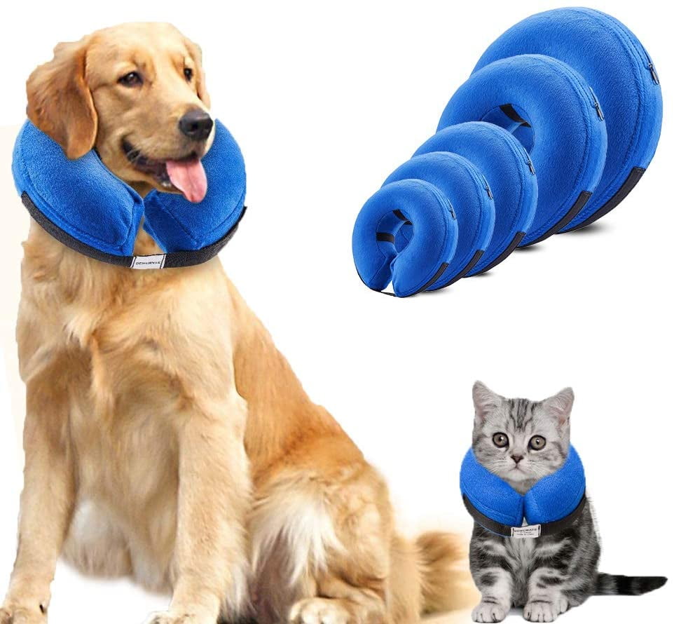 collar to prevent licking