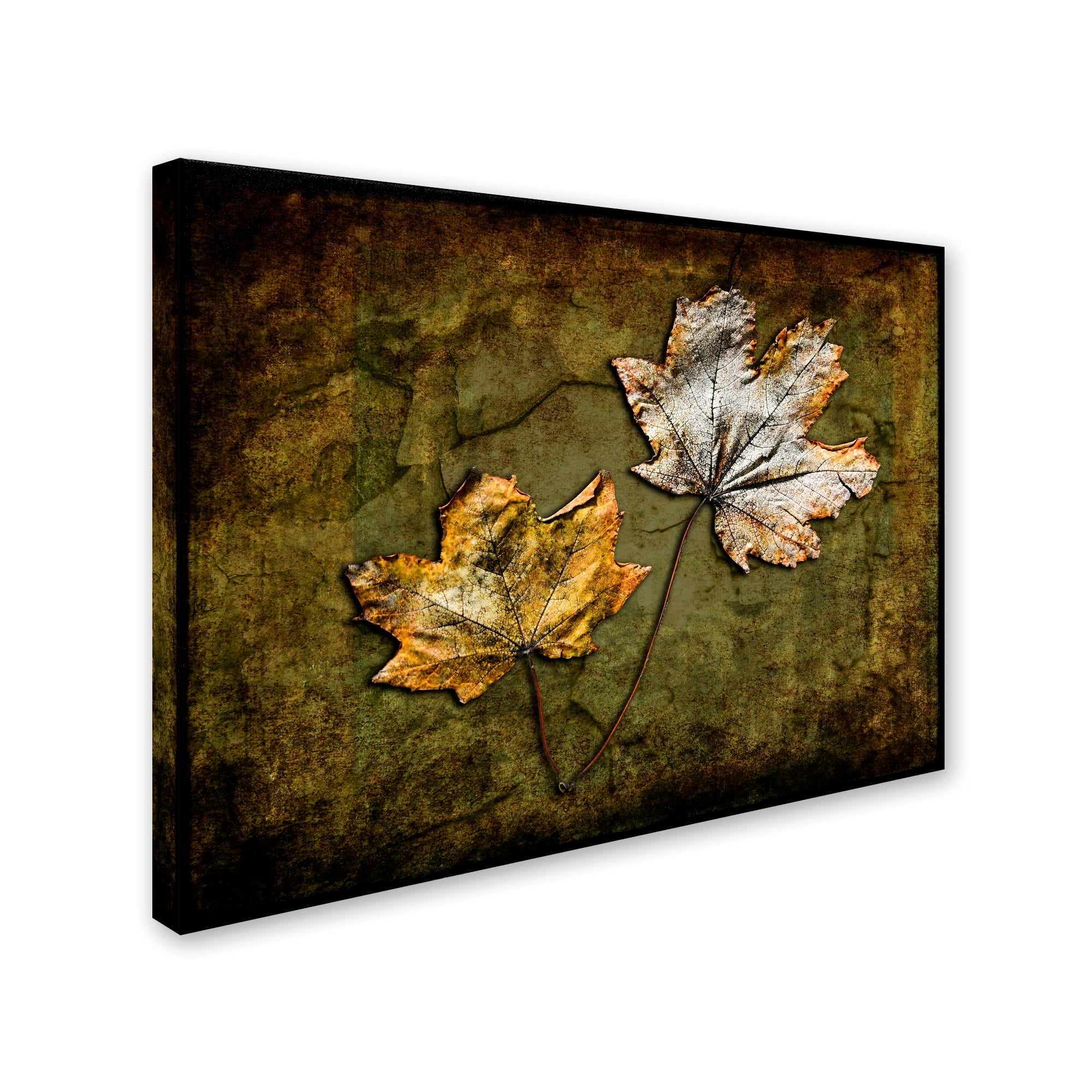 Trademark Fine Art 'Metallic Leaf 2' Canvas Art by LightBoxJournal