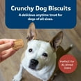 thumbnail image 4 of Blue Buffalo Health Bars Mini Crunchy Dog Treats, Bacon, Egg & Cheese, 1-oz. Pack (12 Count), 4 of 9