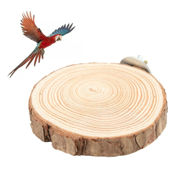 Plateforme Ronde pour Oiseaux, Support en Bois Léger et Durable pour Jardin et Maison