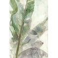 thumbnail image 2 of Theodosiou, Matina 11x14 Black Ornate Wood Framed with Double Matting Museum Art Print Titled - Tropic Plant, 2 of 4