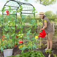 thumbnail image 2 of Enrejado Garden Arch Yotoworth, 210 cm de alto, acero negro, 2 of 7