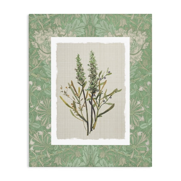 Stupell Industries Antique Foliage in Green Canvas Wall Art, design by Carol Robinson
