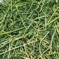 thumbnail image 4 of Rabbit Hole Hay Ultra Premium Alfalfa Hay, 4 of 4