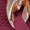 Red, variant on Brown Women Flat Heel Comfortable Casual Shoes With Solid Color Decoration For Leisure Activities Breathable Mesh Upper Low Heel 0.4 Inches Easy To Wear