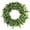 Lavender, variant on Outeriti 19 Inch Artificial Evergreen Wreath with Boxwood & Frosted Accents - Classic All-Season Faux Greenery for Front Door, Window, Fireplace (Indoor/Outdoor Use)