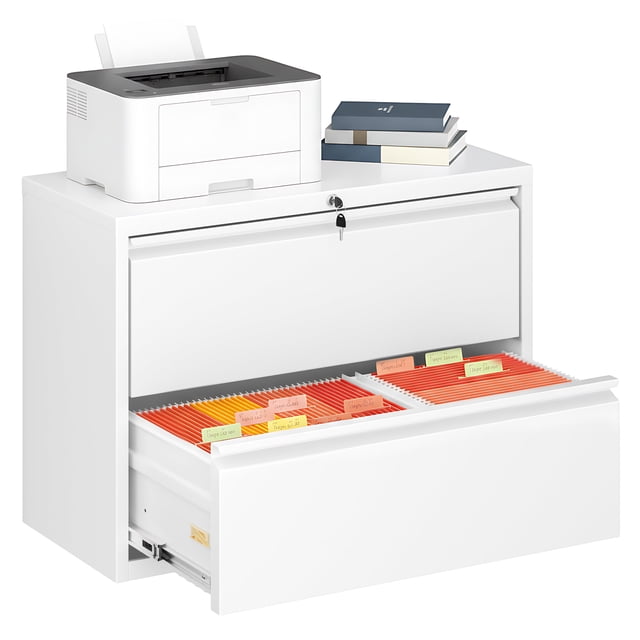 2 Drawer Metal Filing Organization Office Cabinets with Lock,Lateral File Cabinets for Home Office Hanging Files Letter/Legal/F4/A4 Size (2 Drawer-White)