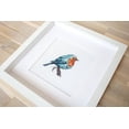 thumbnail image 4 of Luca-S Western Bluebird Counted Cross-Stitch Kit, 4 of 5