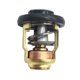 thumbnail image 1 of Termostato para motor de barco Cola fueraborda 9.9-70 Termostato fuera de borda, 1 of 8