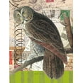thumbnail image 2 of Robertson, Walter  15x18 Black Ornate Wood Framed with Double Matting Museum Art Print Titled - Curious Owl 1, 2 of 4