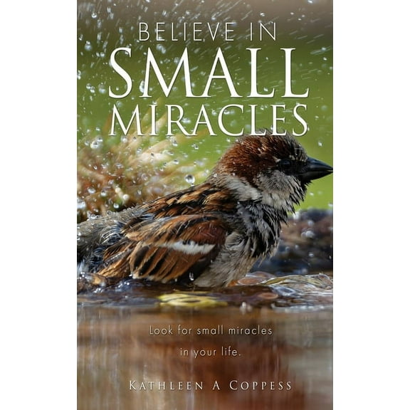 Believe in Small Miracles: Look for small miracles in your life., (Paperback)