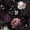 Black and Pink, variant on Vintage Wallpaper Wildflower Peel and Stick 17.4" x 118" Peony Floral Contact Paper Waterproof Renter Friendly Covering for Bedroom Bathroom Green/White/Pink