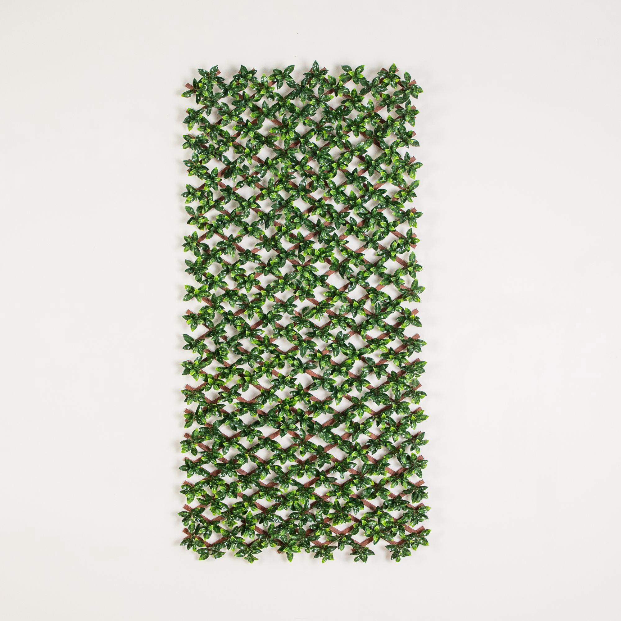 36in. x 72in. UV Resistant Artificial Gardenia Expandable Privacy Fence Screen (Indoor/Outdoor)