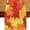 Orange and Brown, variant on Thanksgiving Table Runner,Orange Fall Table Runners Harvest Decorations, Kitchen Dining Room Party Decor (Orange and White, 13x72 Inch)