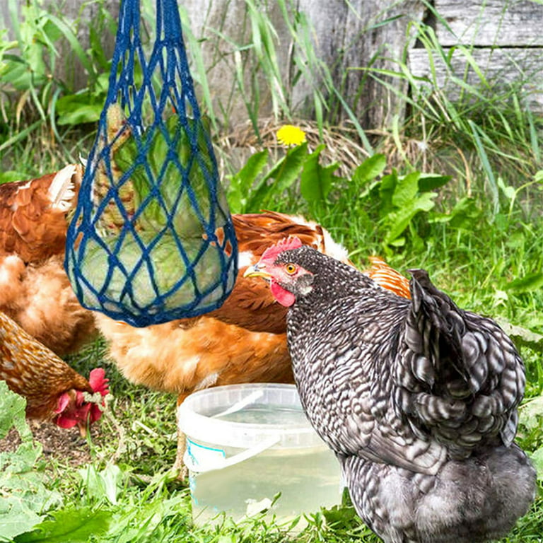 Chicken Vegetable String Bag Fruit Treat Feeder with Hook for Poultry blue  