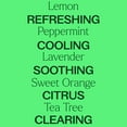 thumbnail image 4 of Plant Therapy Top 14 Organic Singles Set 100% Pure, Undiluted, Natural Aromatherapy 10 mL (1/3 oz) each, 4 of 8