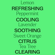 Plant Therapy Top 14 Organic Singles Set 100% Pure, Undiluted, Natural Aromatherapy 10 mL (1/3 oz) each
