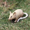 thumbnail image 2 of Small Figurines Wild Animals Lion Monkey Kangaroo Deer Model Action Figure Miniature Collection Cake Toppers Toy Kids Gift, 2 of 6
