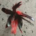 thumbnail image 4 of China Kick Shuttlecock Fitness Entertainment Footbal Foot Kick Fancy Goose Feather Shuttlecock For Physical Exercise Competition size2, 4 of 6
