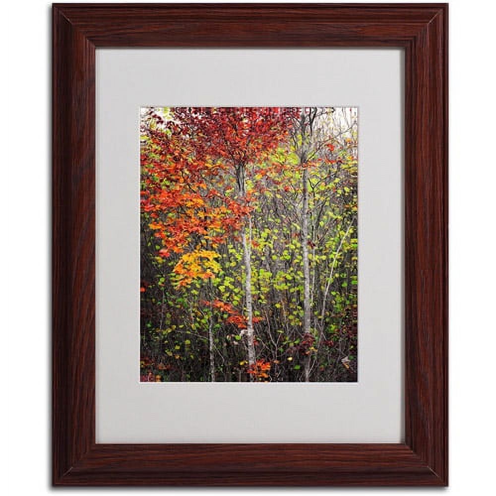 Trademark Fine Art "Color Touch" Canvas Art by Philippe Sainte-Laudy, Wood Frame