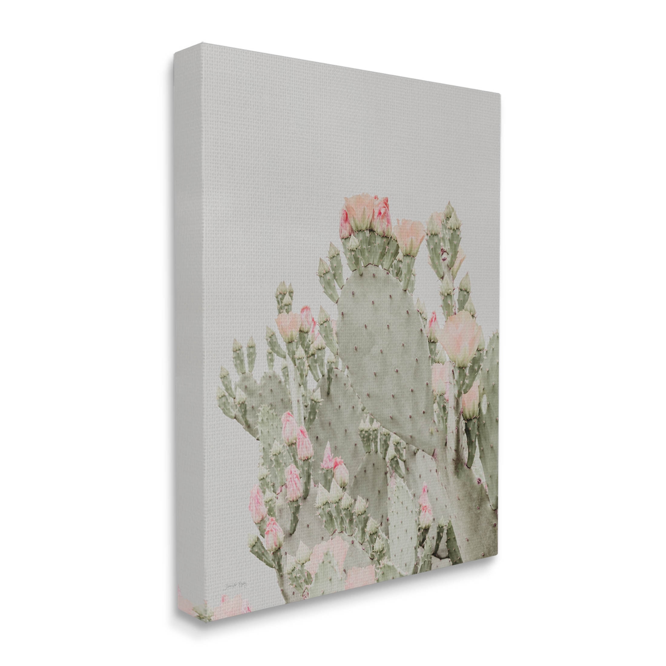 Stupell Industries Pink Cactus Blossoms Photograph Gallery Wrapped Canvas Print Wall Art, Design by Jennifer Rigsby