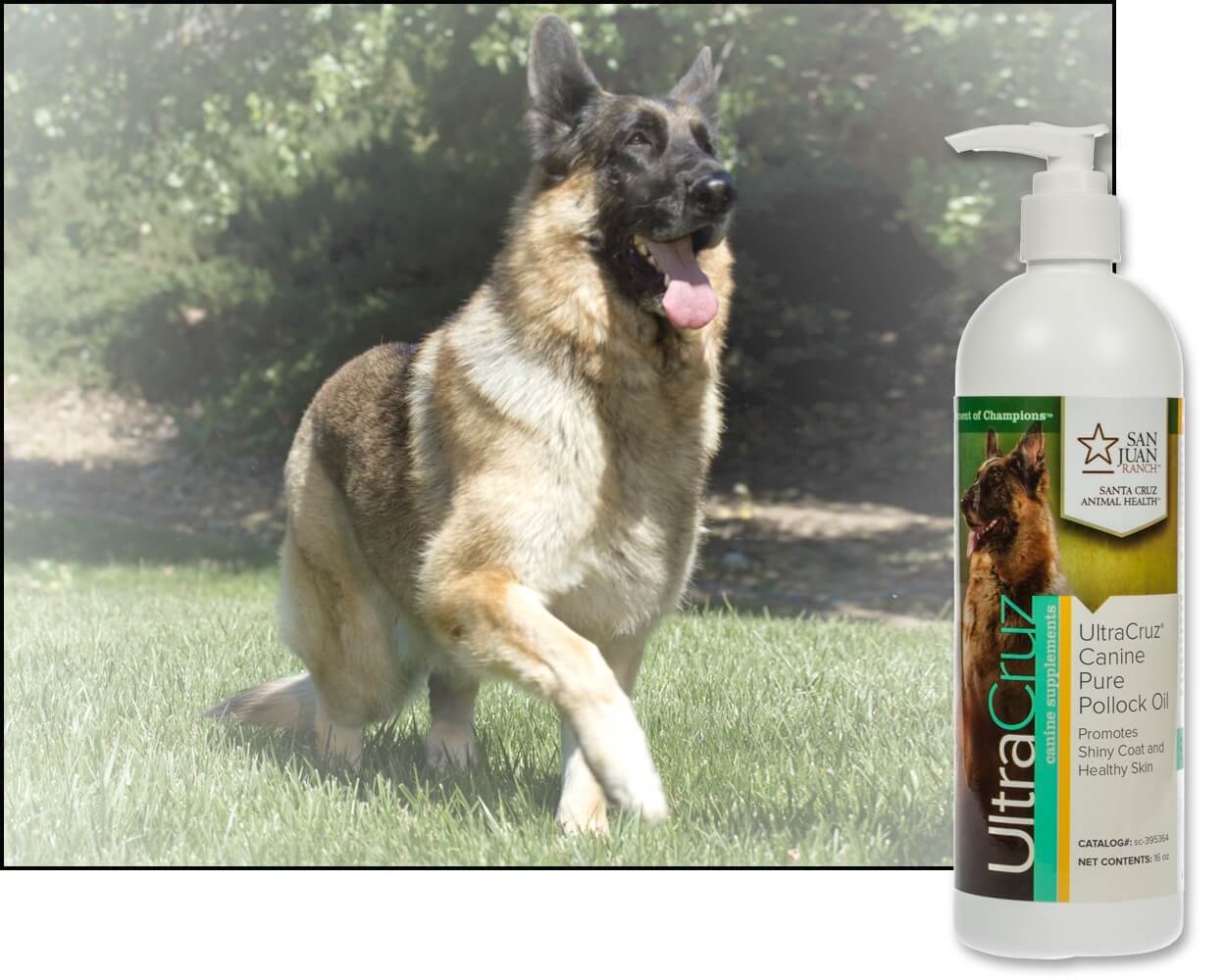 UltraCruz® Canine Pure Pollock Oil, 16 oz