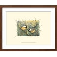 thumbnail image 2 of Art.com Chickadees and Pussy Willow Art Print by Janet Mandel, Brown Frame Wall Art, 21" x 17", 2 of 5