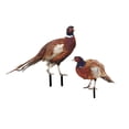 thumbnail image 3 of Figuras de faisán para decoración de suelo, manualidades, adornos con estacas de animales fáciles de usar AB, 3 of 9