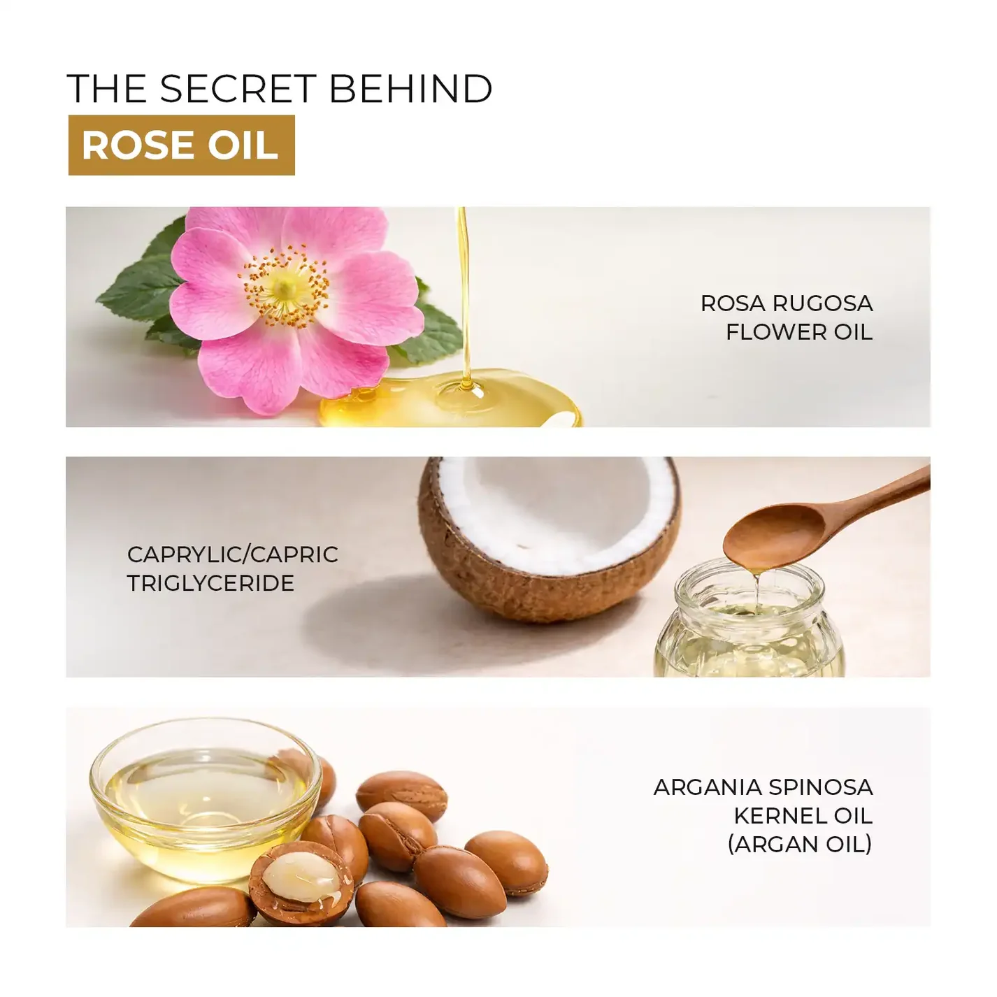 Skin Centric Rose Face Oil - Organic Face Moisturizer for All Skin Types