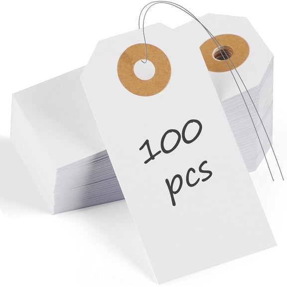 100 Pcs White Blank Shipping Tags with Wires Writable Cardstock Paper Tag Hang Tags with Reinforced Eyelet Small Marking Price Tag Inventory Label, 2 3/4" x 1 3/8"