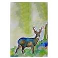 thumbnail image 1 of Betsy Drake GT336 Serviette d'Invité de Cerf - 20 x 20 Po., 1 of 1