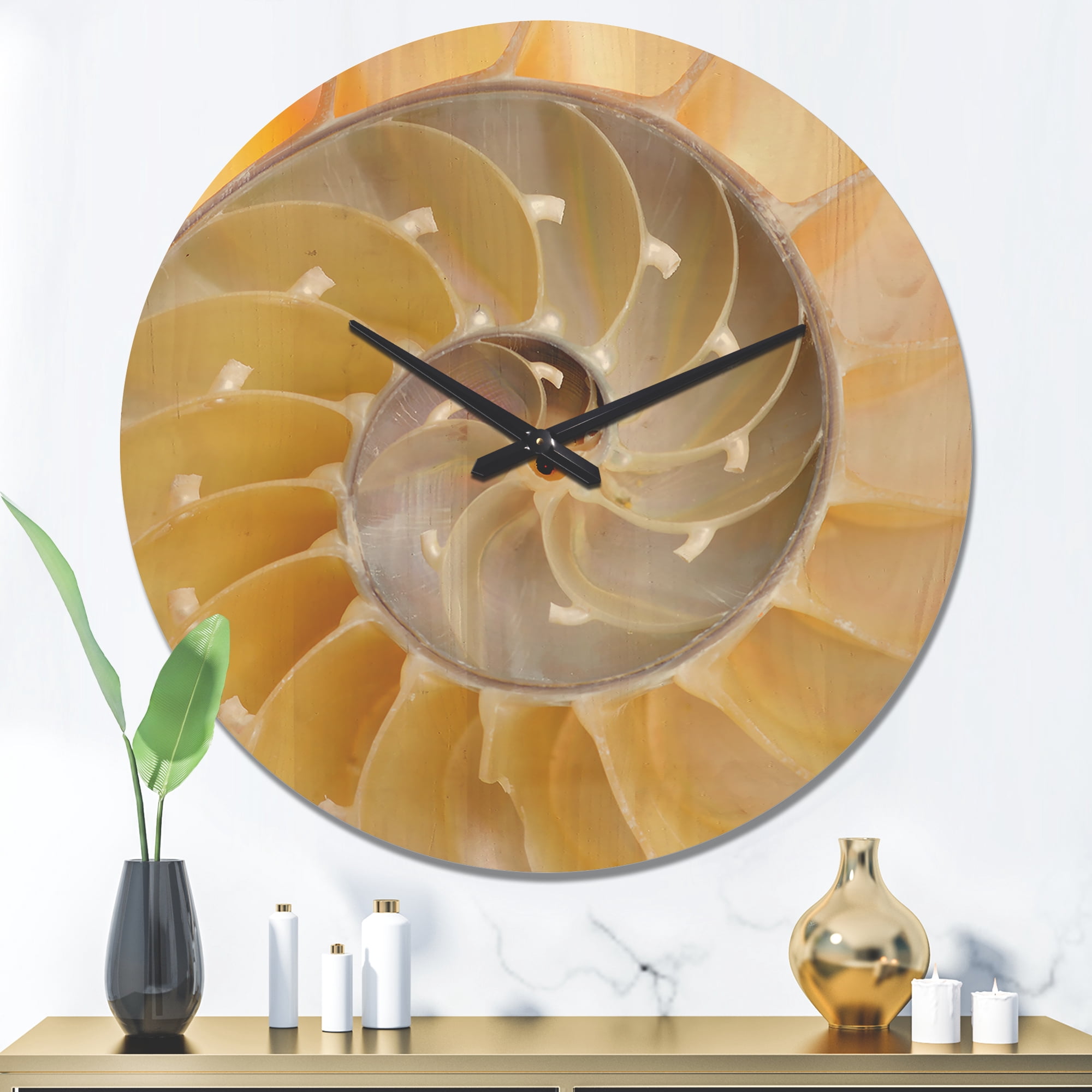 Designart 'Isolated Nautilus Sea Shell' Modern Wood Wall Clock
