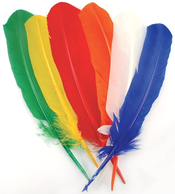 25 Indian Great for Art & Crafts Quill Feathers 10-12" Long Assorted Colours 