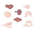 thumbnail image 4 of Human Organ Model Toy, Delicate Learn Structure Of Human Organs Body Anatomy Educational Tool Simulation  For School Teaching For Students For Hospitals, 4 of 8