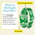 thumbnail image 3 of Country Brook Petz® 1 1/2 inch Kelly Green Hawaiian Martingale Dog Collar, Large, 3 of 6